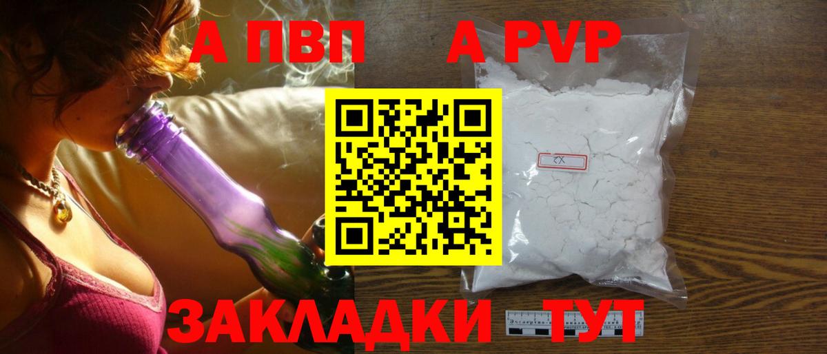 A PVP СК Новодвинск