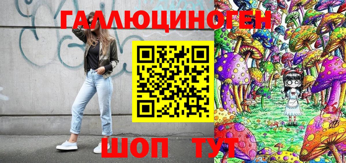 Псилоцибиновые грибы Psilocybe  Вход с VPN  Новодвинск 